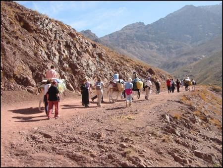 D&eacute;couverte d' Adrar